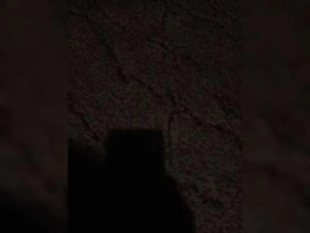 Andre4516 — Freechat on BongaCams