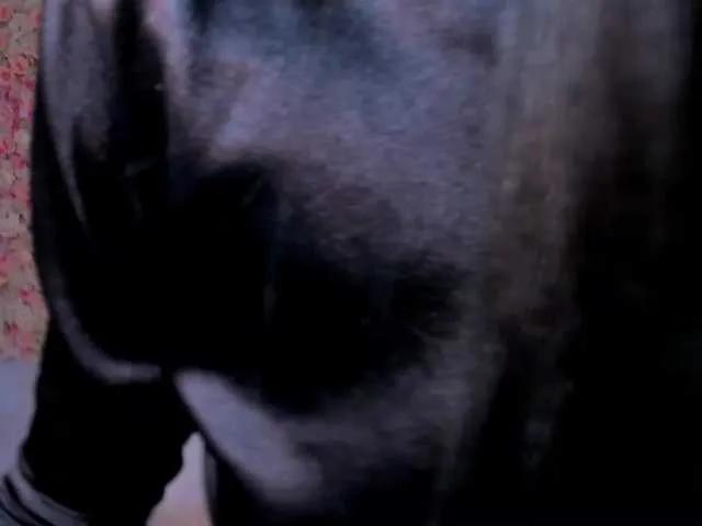 BellaCarteer on BongaCams 